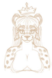Halfbody, Sketch